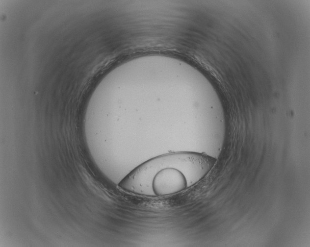 X0000076380639200610161116