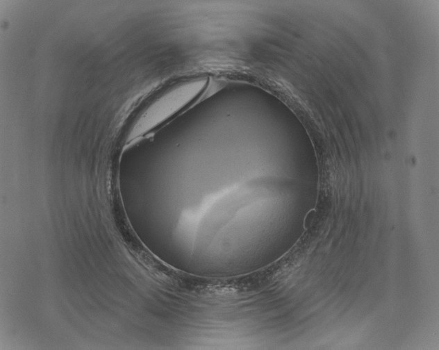 X0000076380640200610161116