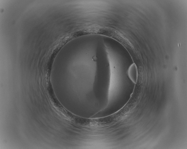 X0000076380641200610161116