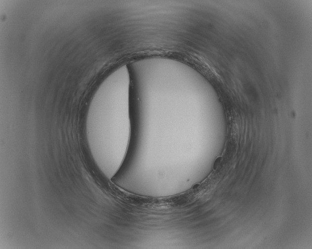 X0000076380643200610161116