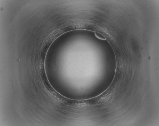 X0000076380645200610161116