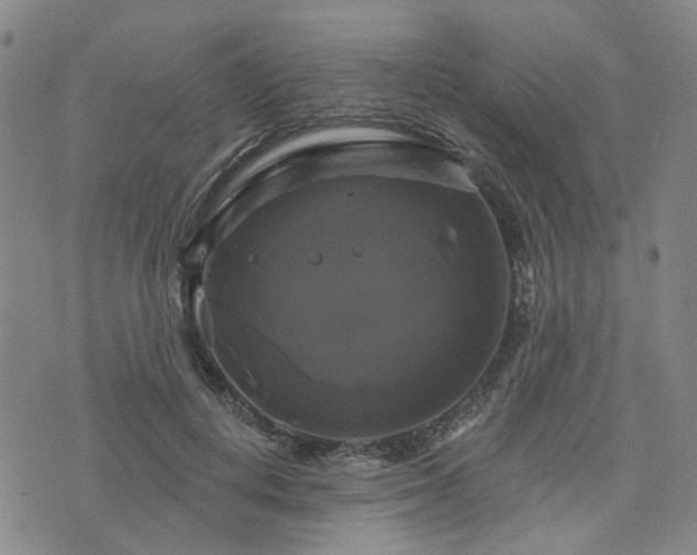 X0000076380648200610161116