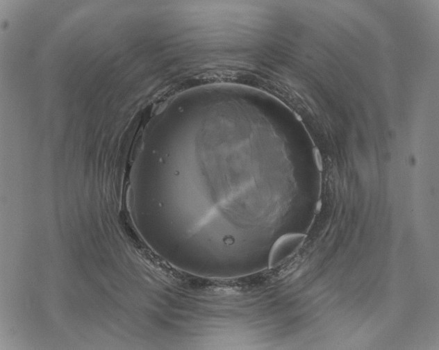 X0000076380649200610161116