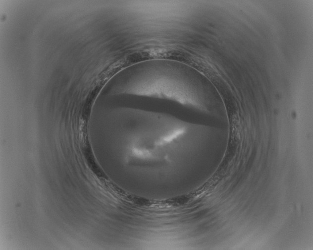 X0000076380650200610161116