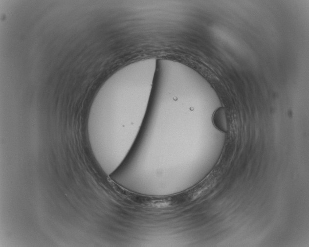 X0000076380651200610161116