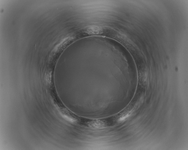 X0000076380652200610161116