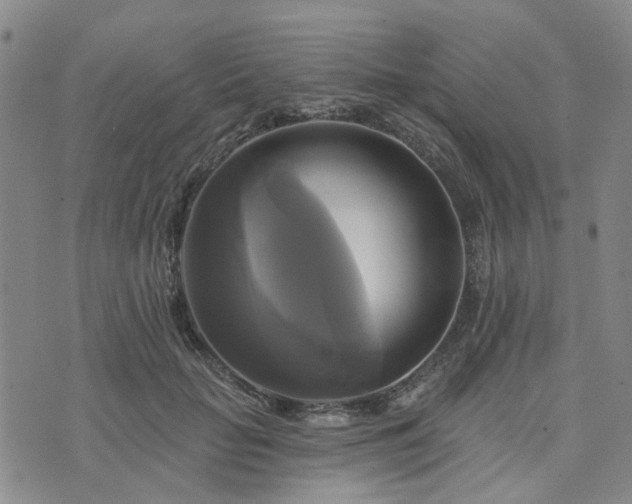 X0000076380653200610161116