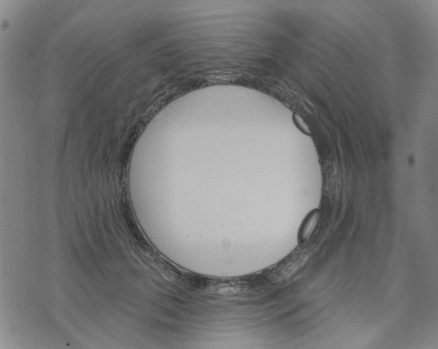 X0000076380655200610161116