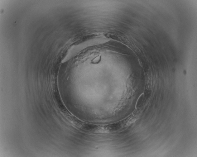 X0000076380656200610161116