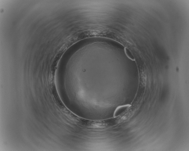 X0000076380657200610161116