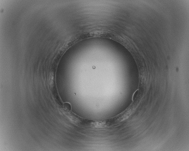 X0000076380660200610161116