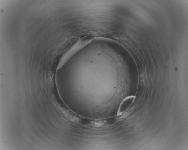 X0000076380662200610161116