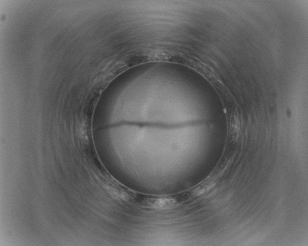 X0000076380663200610161116