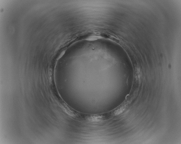 X0000076380664200610161116