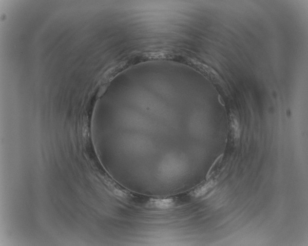 X0000076380665200610161116