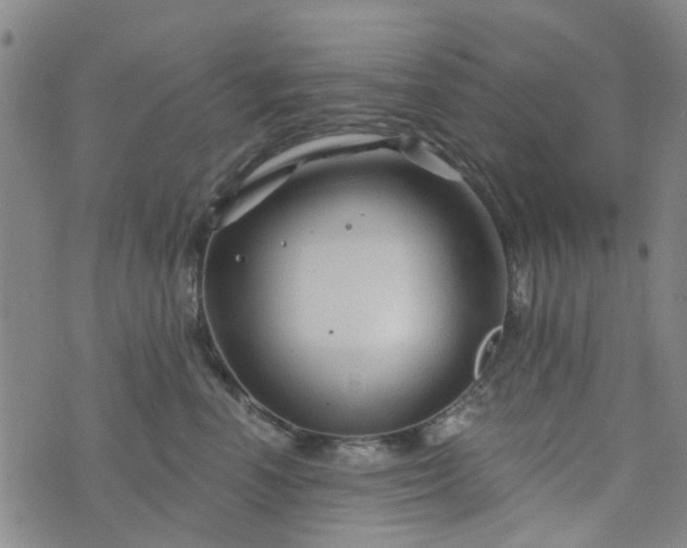 X0000076380666200610161116