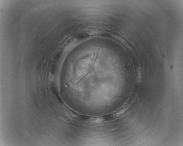 X0000076380667200610161116