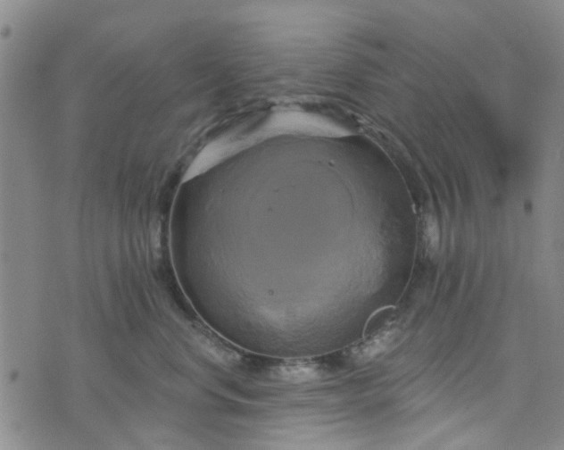 X0000076380668200610161116