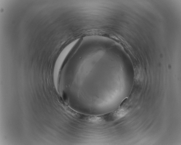 X0000076380669200610161116