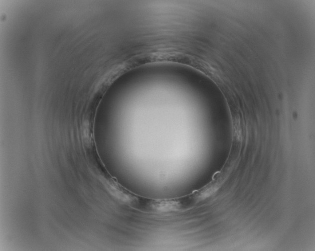 X0000076380670200610161116