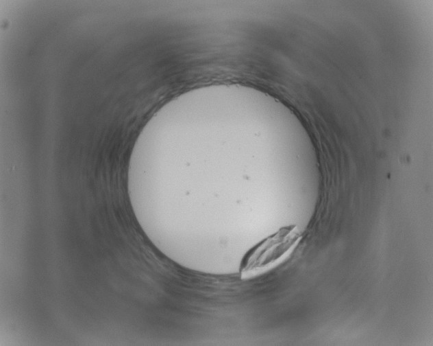 X0000076380672200610161116