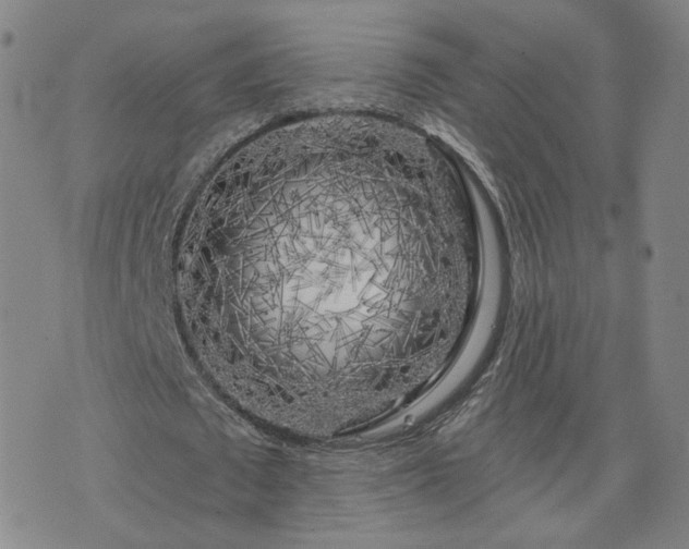 X0000076380673200610161116