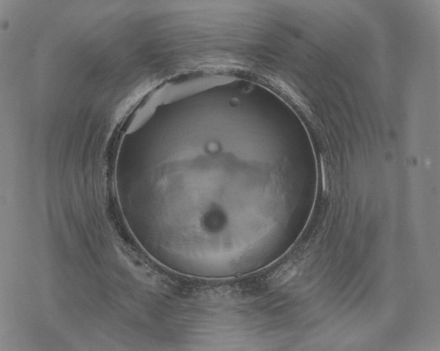 X0000076380675200610161116