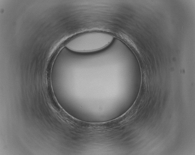 X0000076380676200610161116