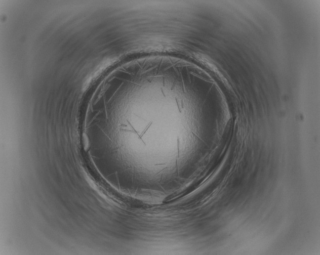 X0000076380677200610161116