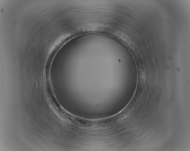 X0000076380678200610161116