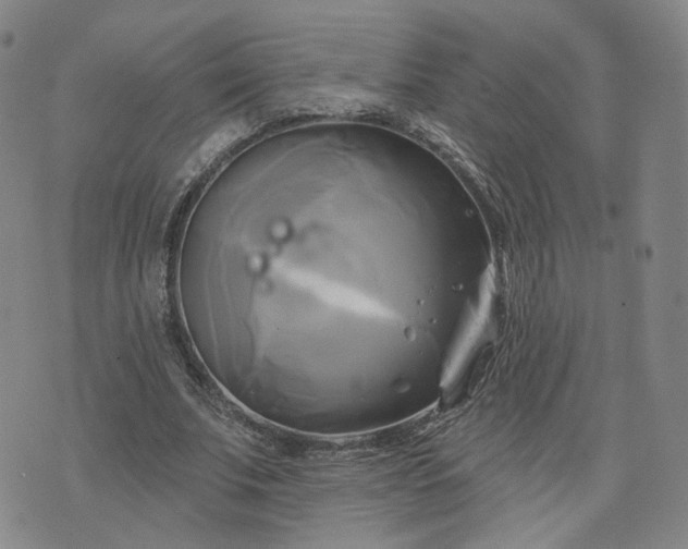 X0000076380679200610161115