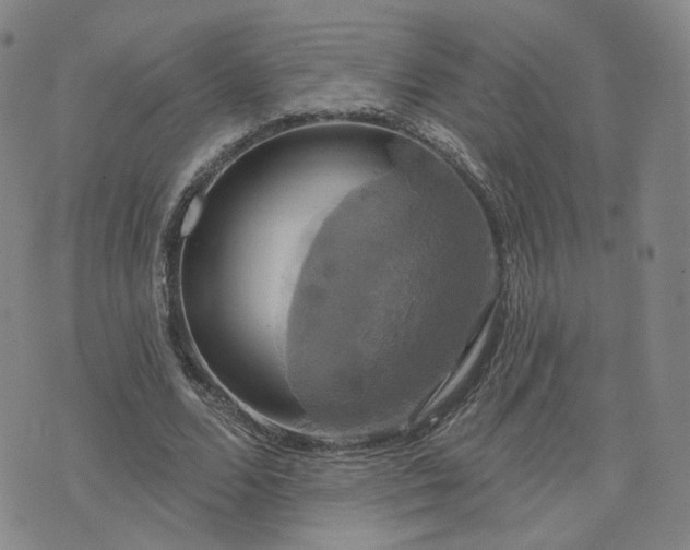 X0000076380680200610161115