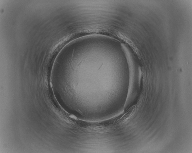 X0000076380681200610161115