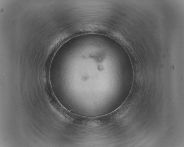 X0000076380683200610161115