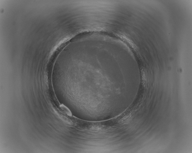 X0000076380684200610161115