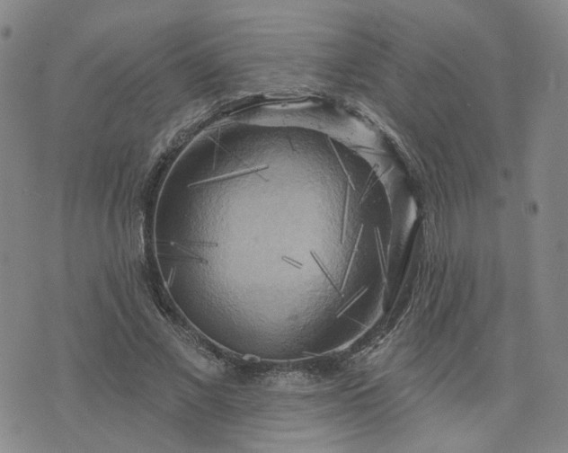 X0000076380685200610161115