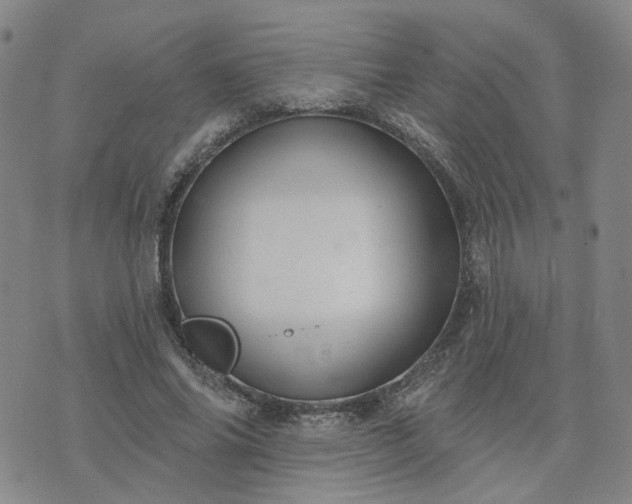 X0000076380686200610161115