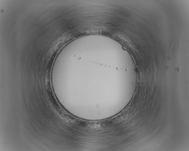 X0000076380687200610161115