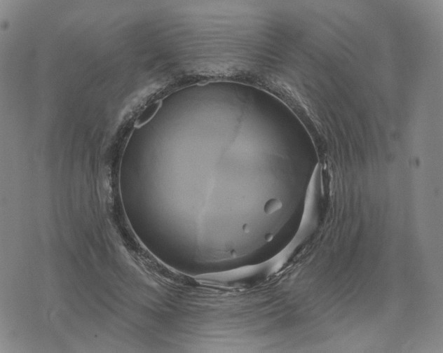 X0000076380688200610161115