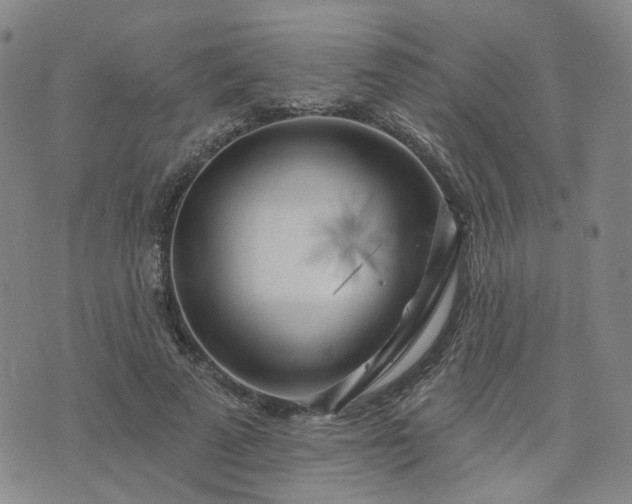 X0000076380689200610161115