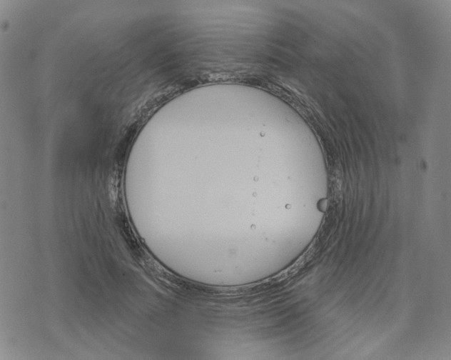 X0000076380691200610161115