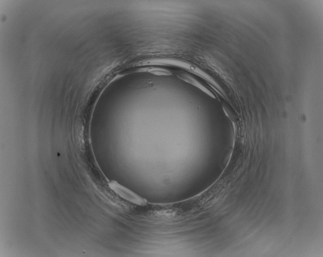 X0000076380692200610161115