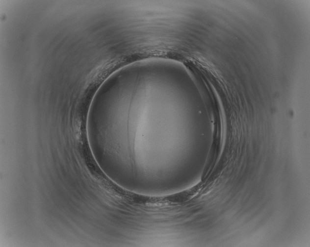 X0000076380693200610161115