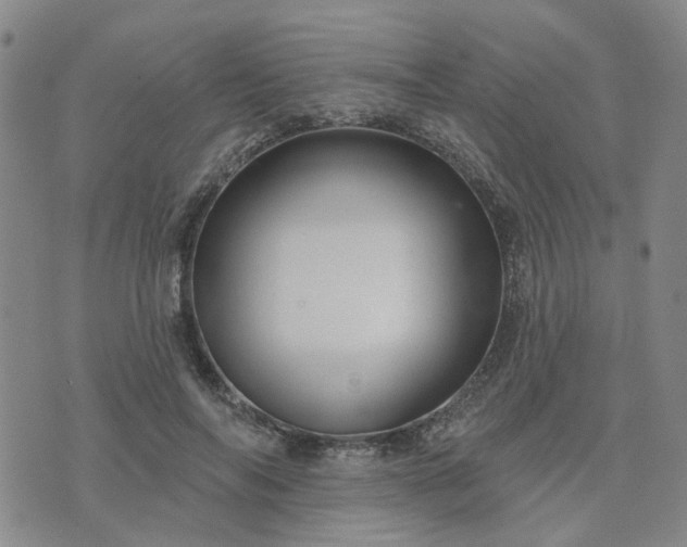 X0000076380694200610161115