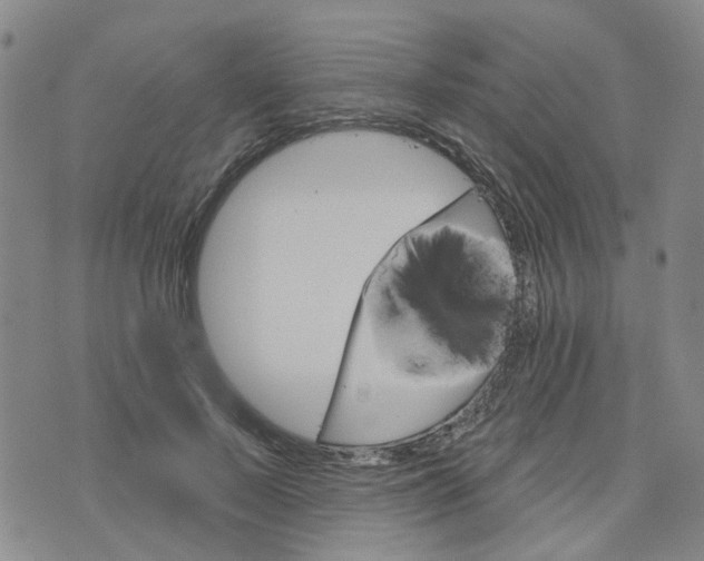 X0000076380695200610161115