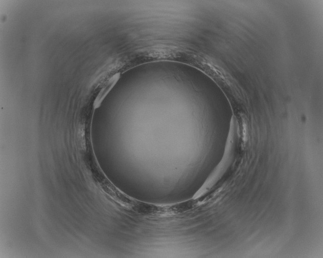 X0000076380696200610161115