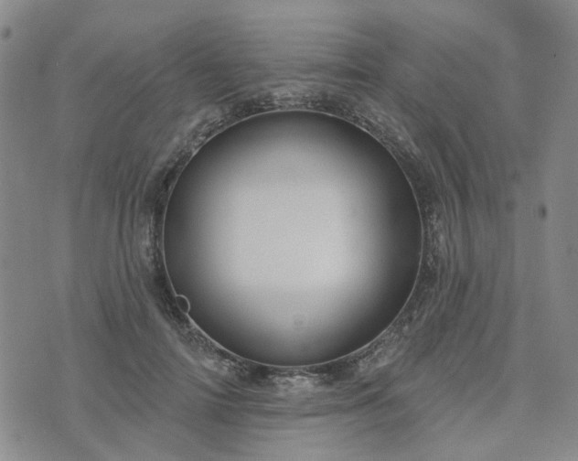 X0000076380698200610161115