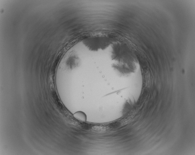 X0000076380699200610161115