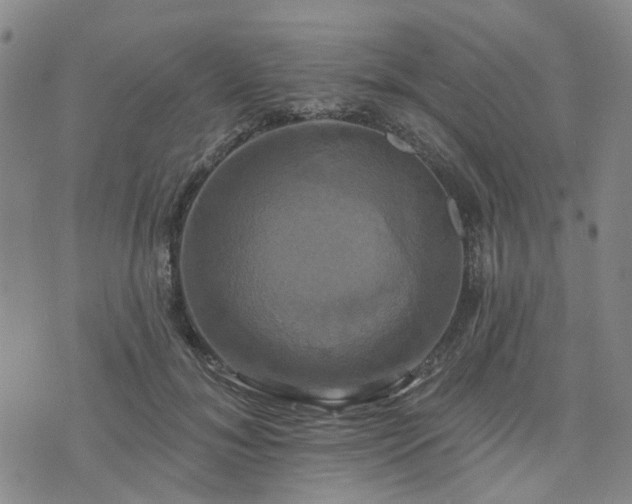 X0000076380700200610161115