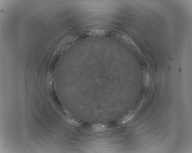 X0000076380701200610161115